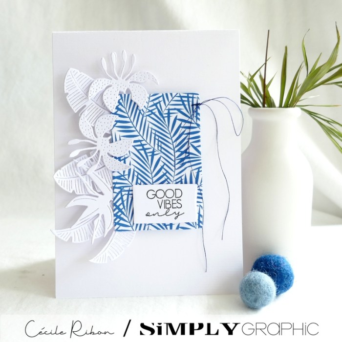 Carte SG15 - P1340887