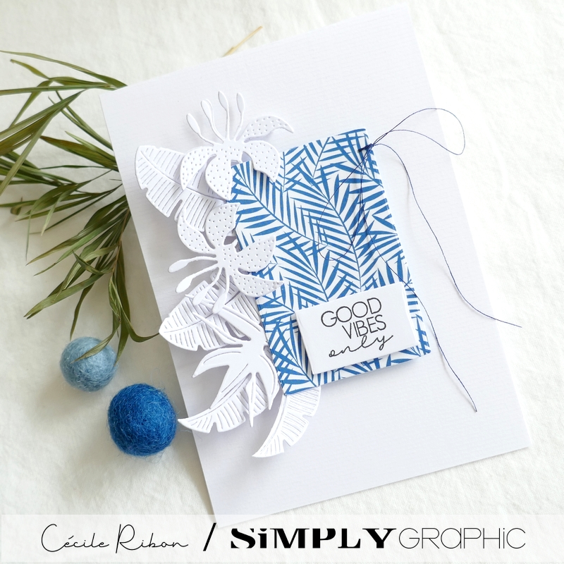 Carte SG15 - P1340903