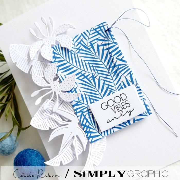 Carte SG15 - P1340909