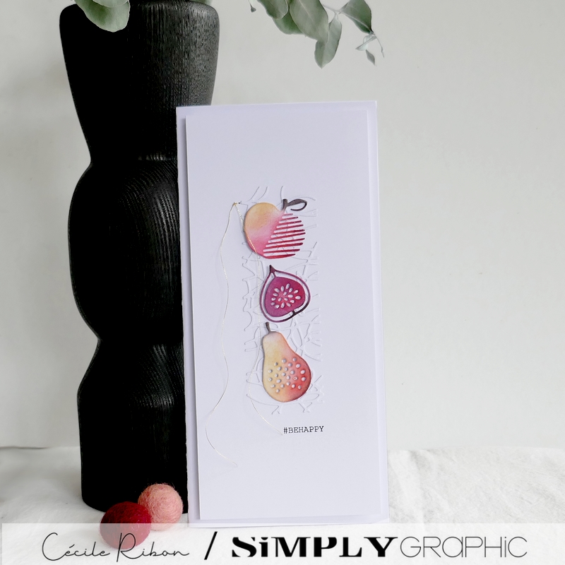 Carte SGx05 - P1350007