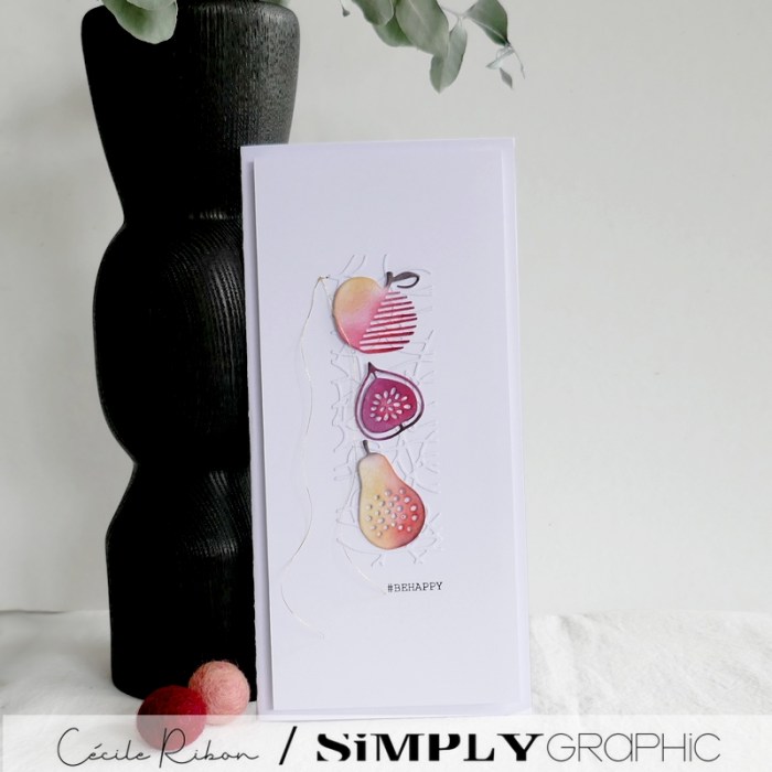 Carte SGx05 - P1350007