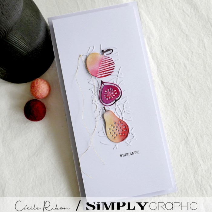 Carte SGx05 - P1350013