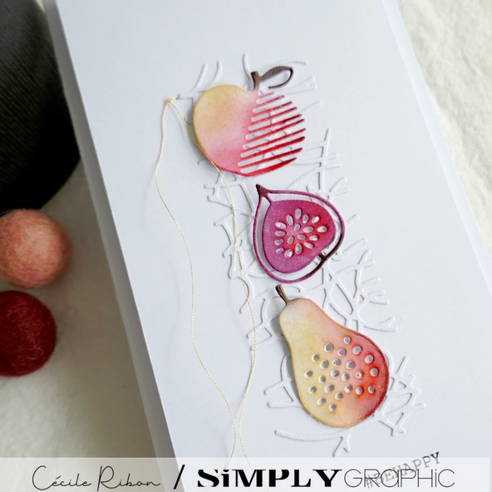 Carte SGx05 - P1350021