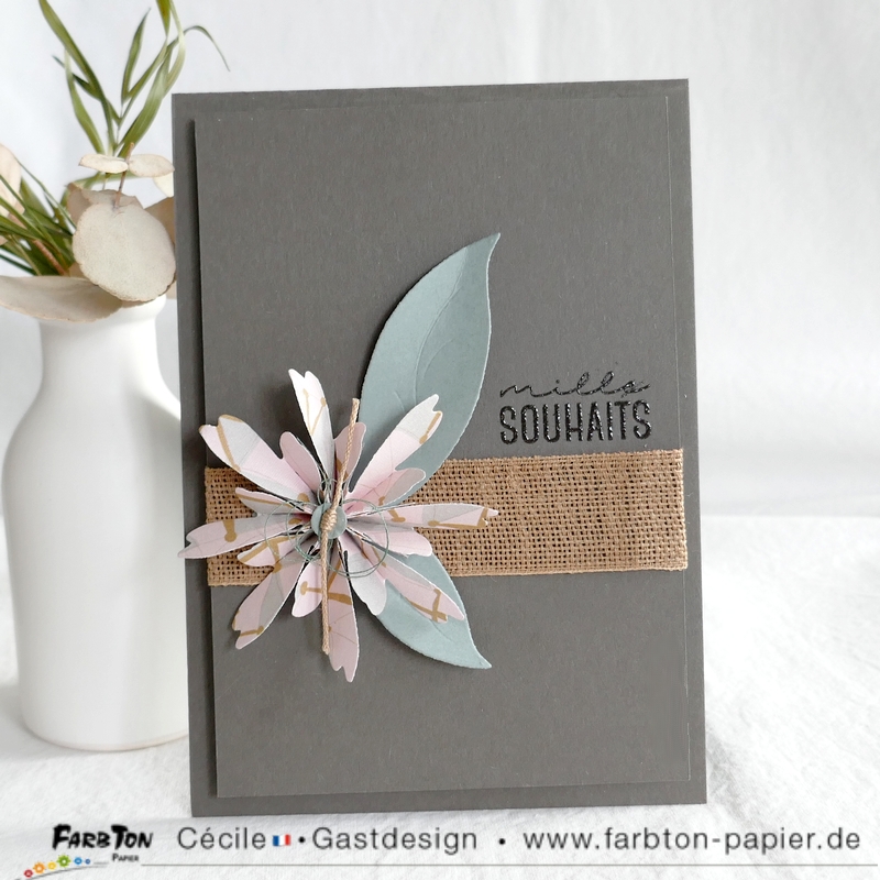 FarbtonP15 - P1340976