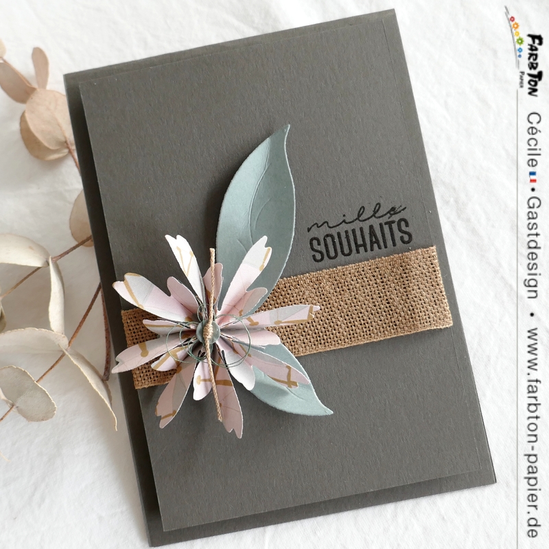 FarbtonP15 - P1340981