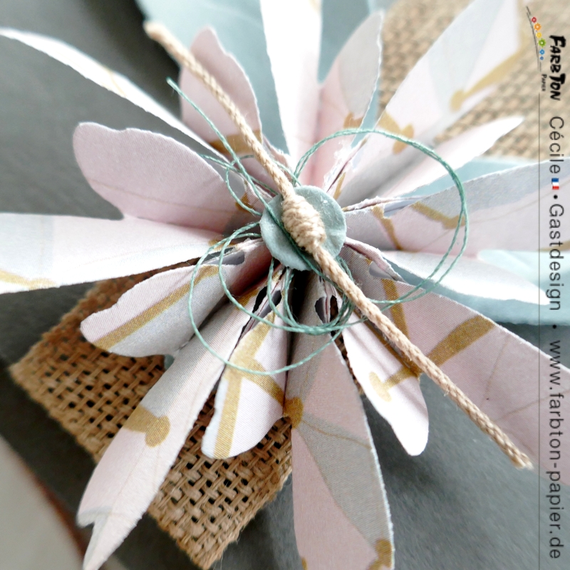 FarbtonP15 - P1340992