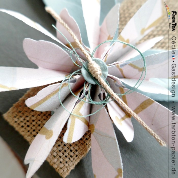 FarbtonP15 - P1340992