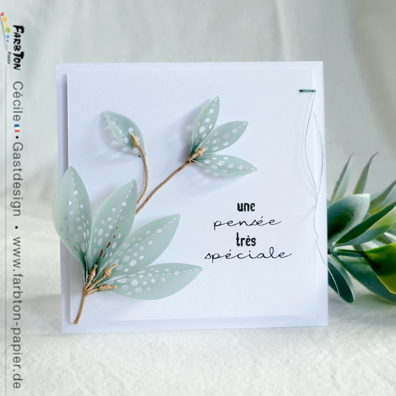 FarbtonP16 - P1350022