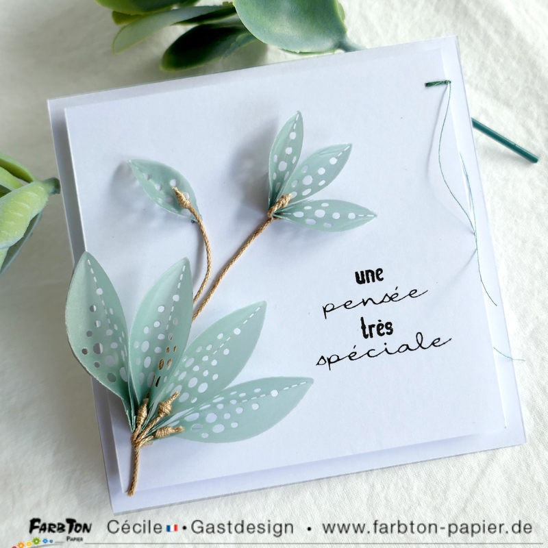 FarbtonP16 - P1350032