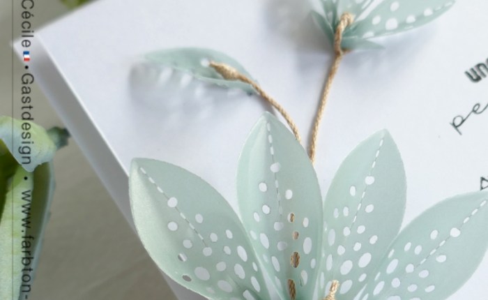 DT Farbton Papier : « Vert ».