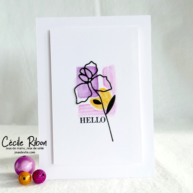 Carte CC&S486 - P1350312