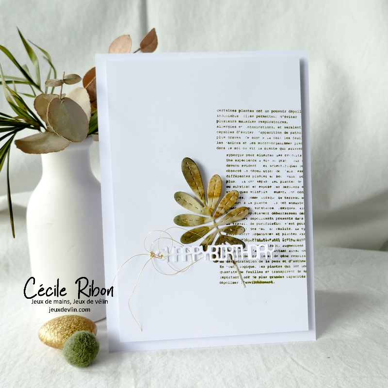 Carte CC&S487 - P1350509