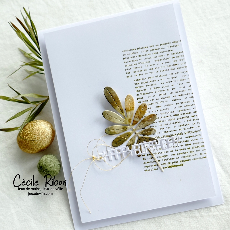 Carte CC&S487 - P1350520