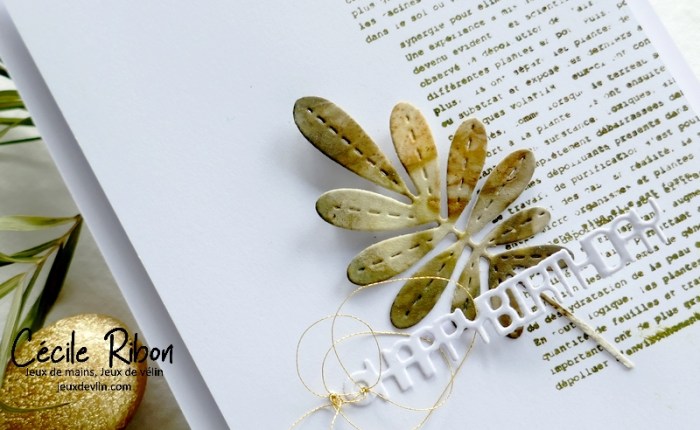 CAS Colours & Sketches #487 –&nbsp;Sketch