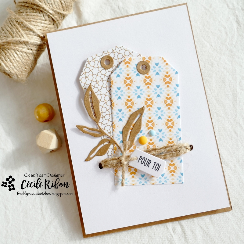 Carte FMS552 - P1350333