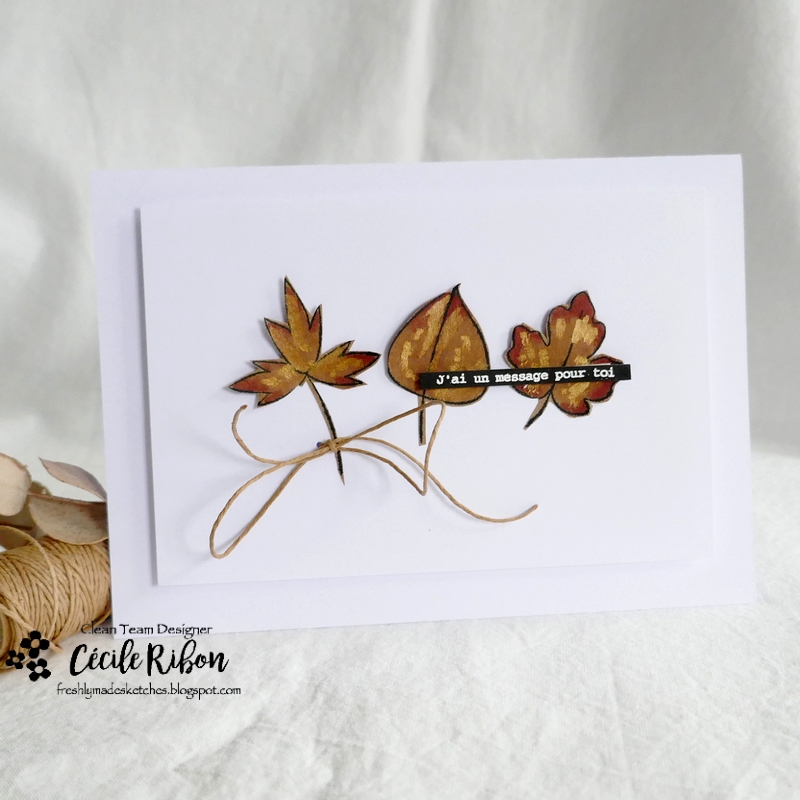 Carte FMS553 - P1350533