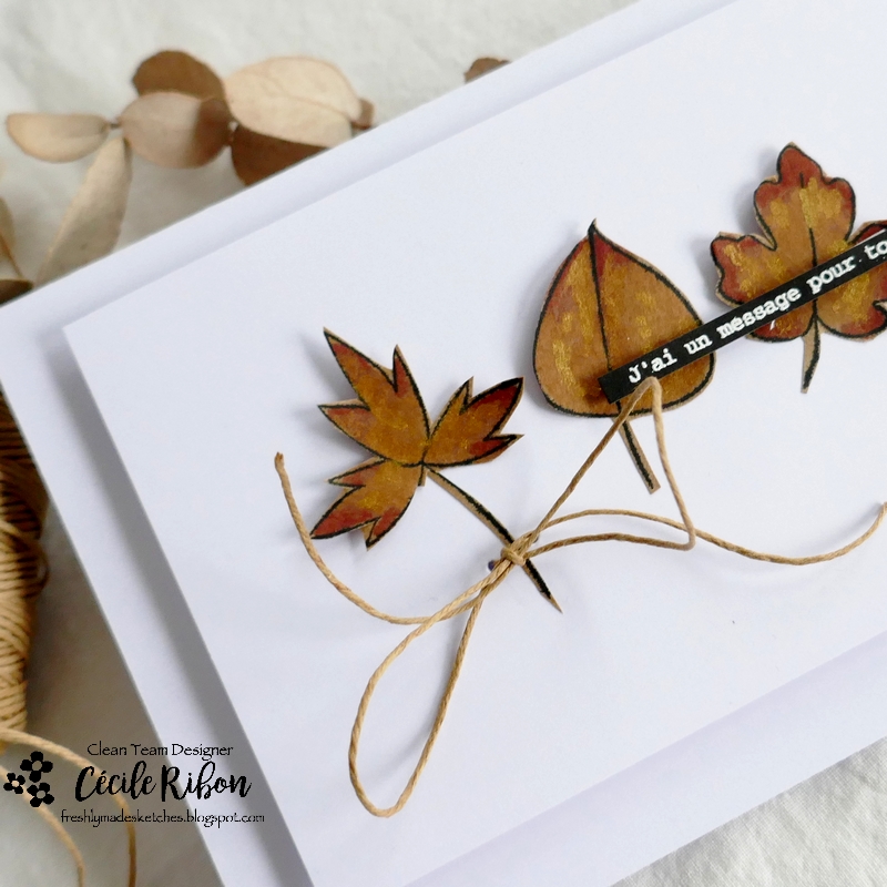 Carte FMS553 - P1350548