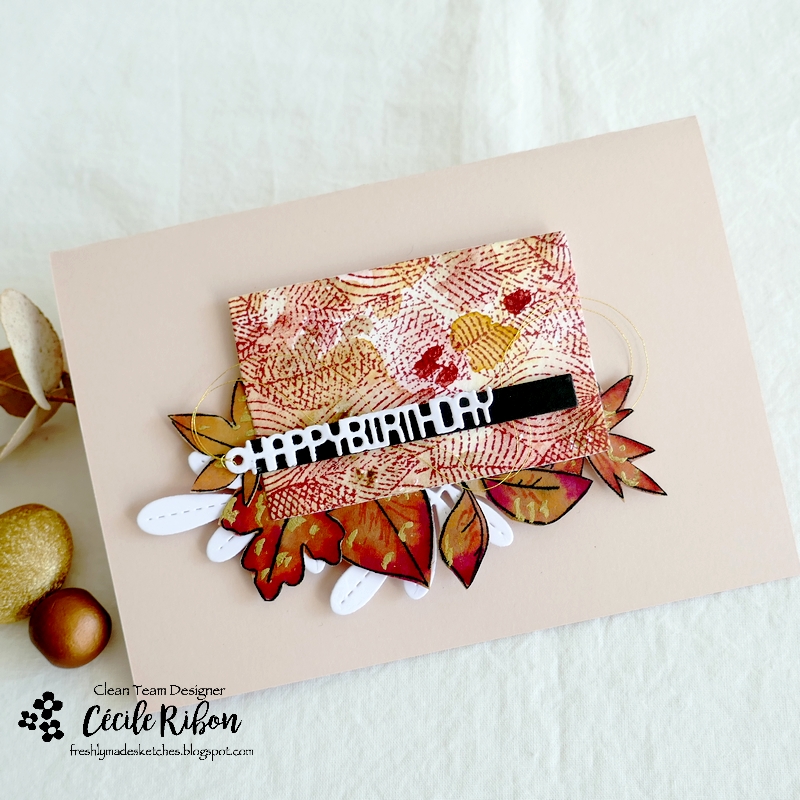 Carte FMS554 - P1350772