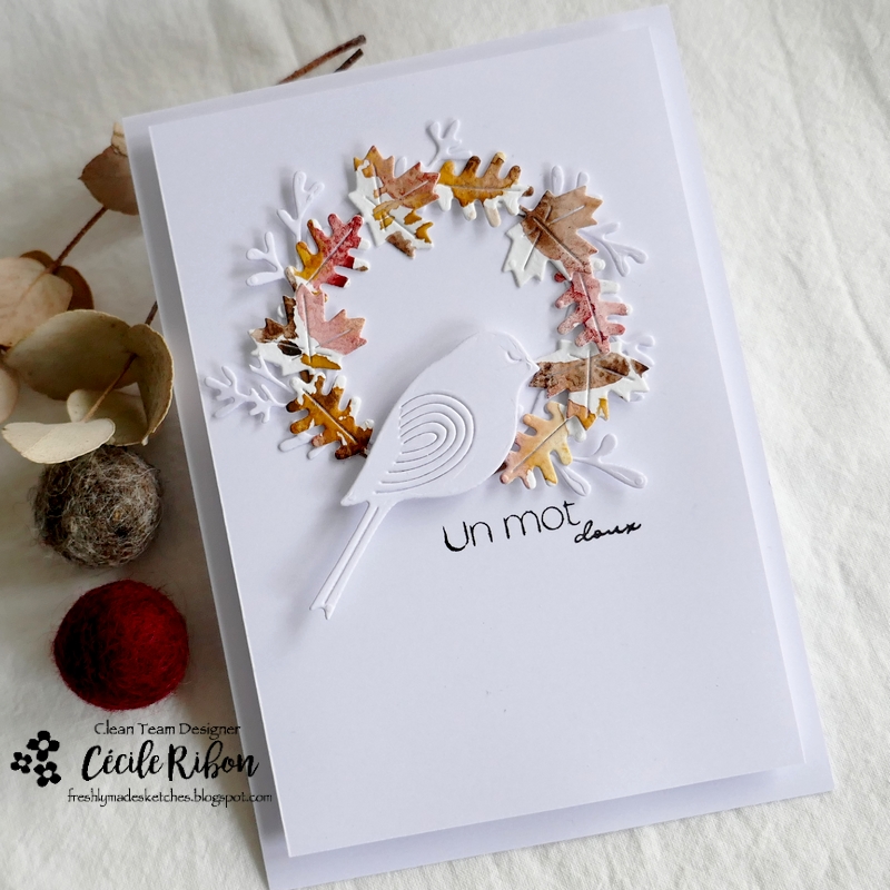 Carte FMS555 - P1350901