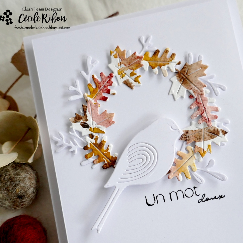 Carte FMS555 - P1350904