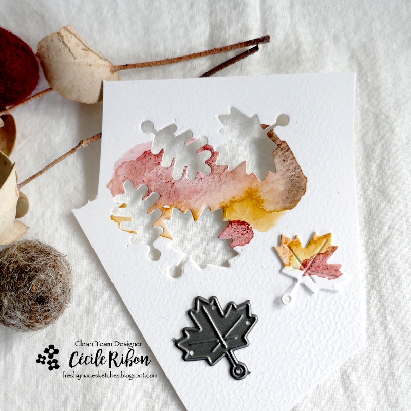 Carte FMS555 - P1350910