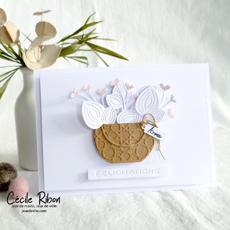 Carte JUGS648 - P1350264