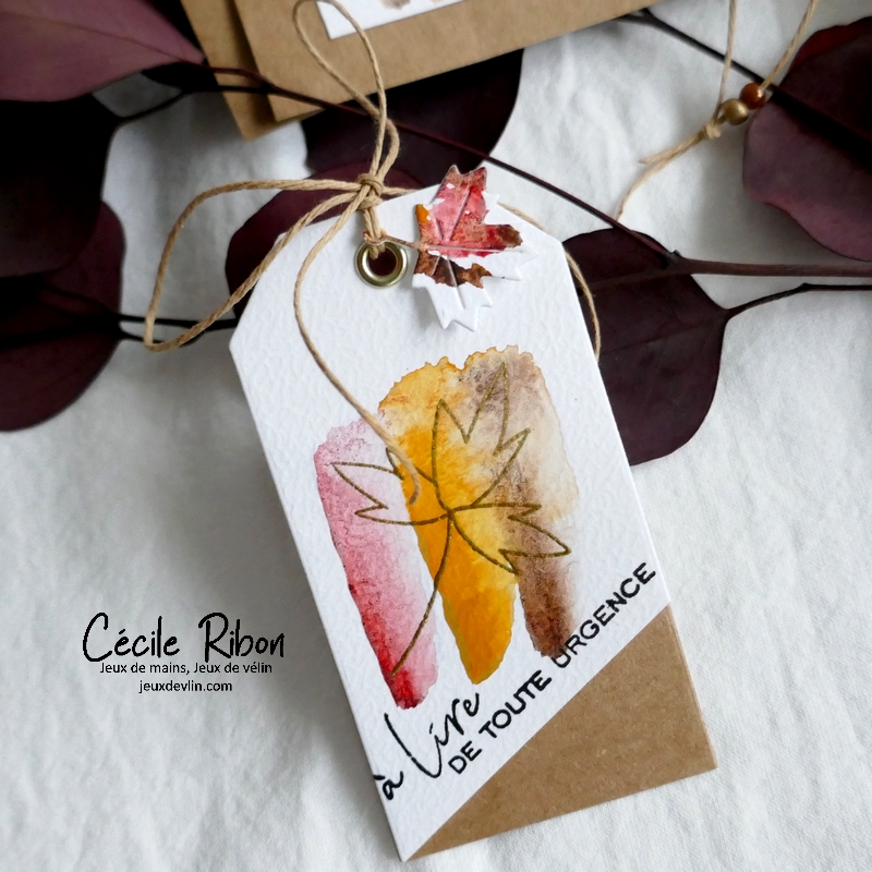 Carte JUGS651 - P1350798