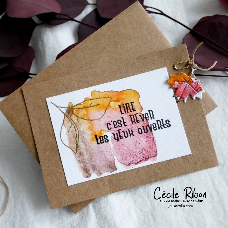 Carte JUGS651 - P1350814