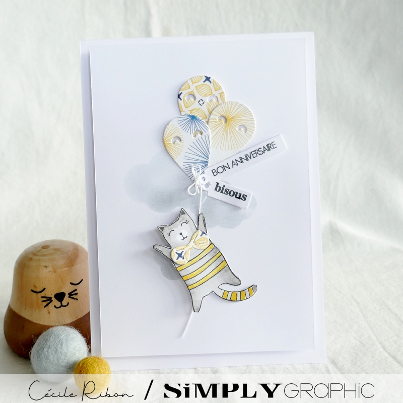 Carte SG16 - P1350236