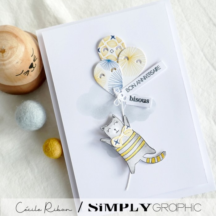 Carte SG16 - P1350244