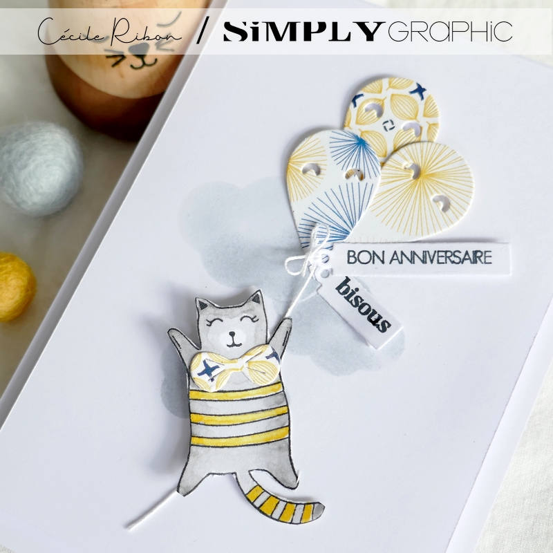 Carte SG16 - P1350253