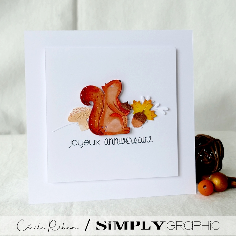 Carte SGx06 - P1350615