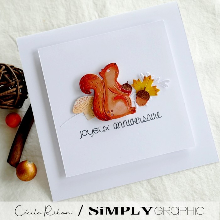 Carte SGx06 - P1350618