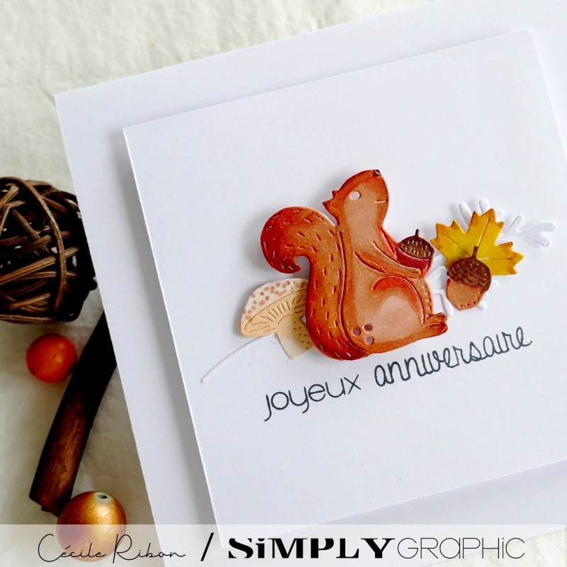 Carte SGx06 - P1350629