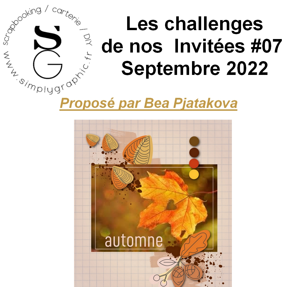 Challenge SGInvitée#07