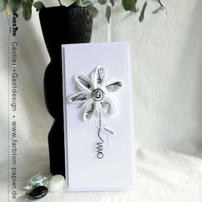 FarbtonP19 - P1350425