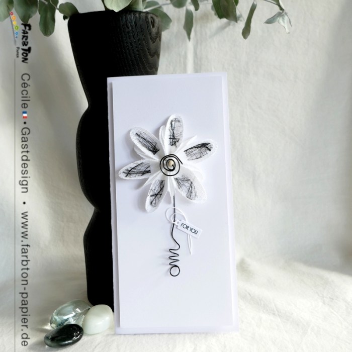 FarbtonP19 - P1350425