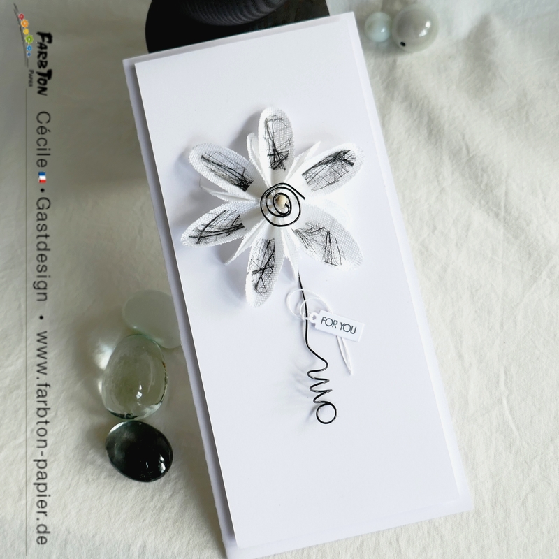 FarbtonP19 - P1350435