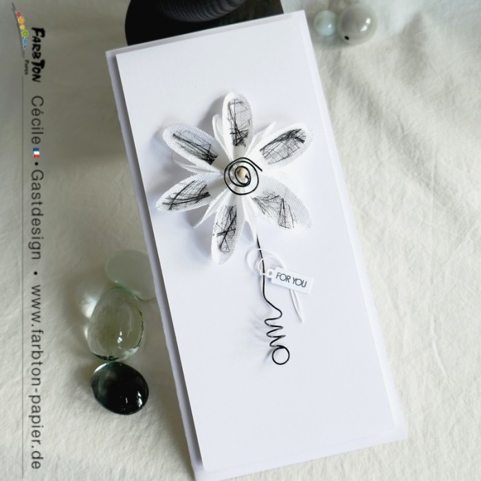 FarbtonP19 - P1350435