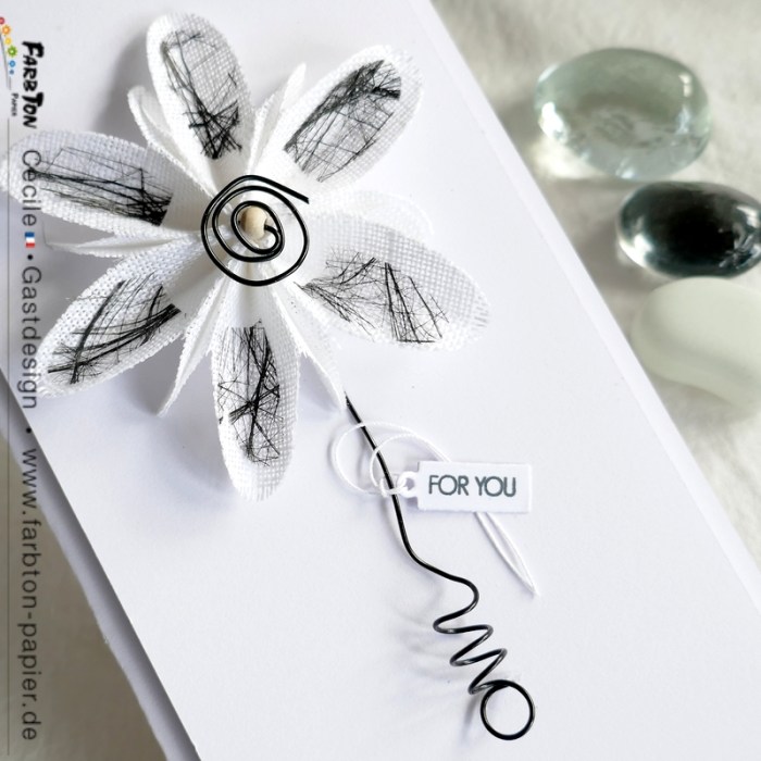 FarbtonP19 - P1350437