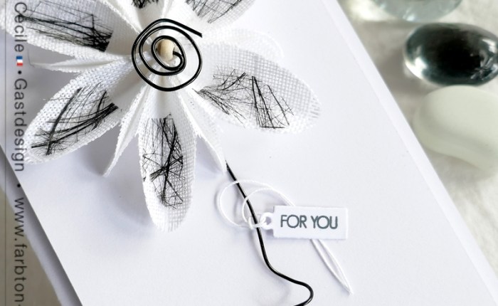 DT Farbton Papier : La DT fête son premier anniversaire.