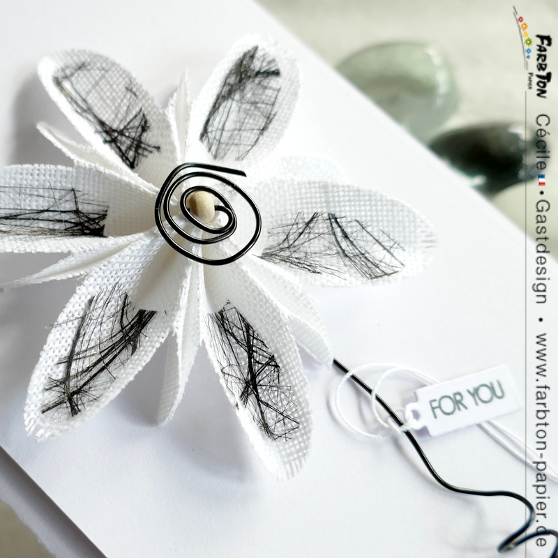 FarbtonP19 - P1350446