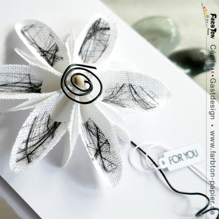 FarbtonP19 - P1350446