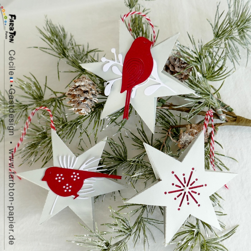 FarbtonP23 - P1350693