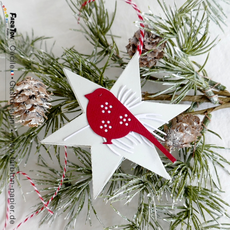 FarbtonP23 - P1350709