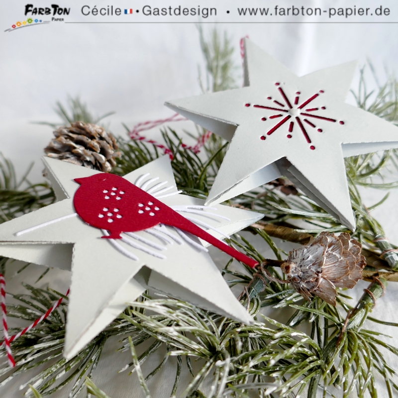 FarbtonP23 - P1350714