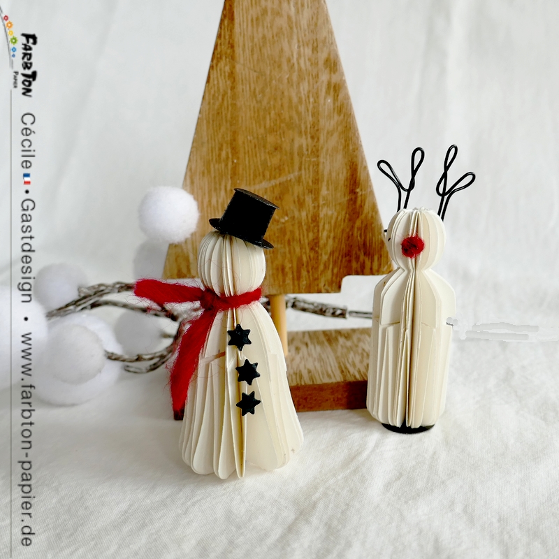 FarbtonP26 - P1350946