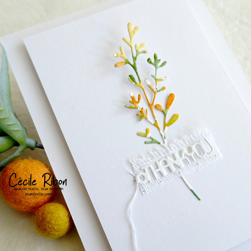 Carte CC&amp;S490 - P1360006