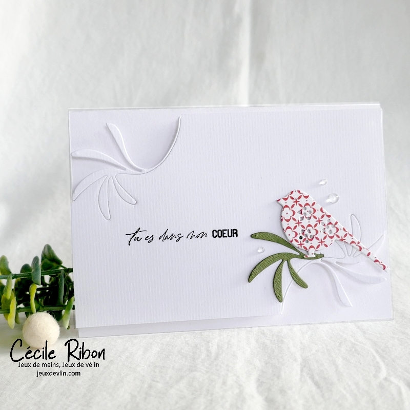 Carte CC&S491 - P1360306