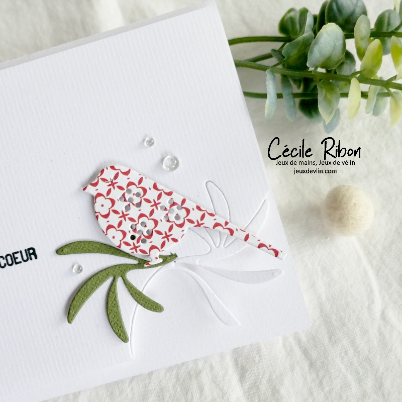 Carte CC&S491 - P1360316